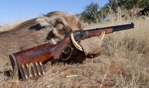 A .45-70 Government lever action rifle, displayed with heavy rounds next to it, illustrating its use in big game hunting.